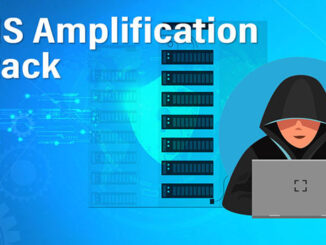Cuộc tấn công DNS Amplification